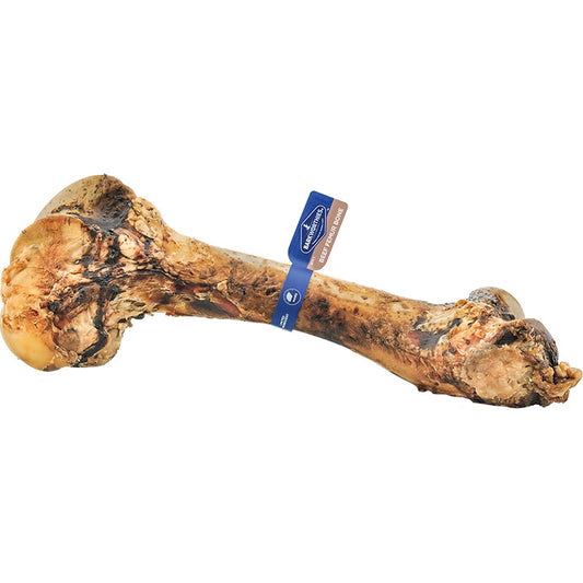 Barkworthies Massive Beef Femur Bone