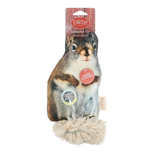 Territory Brand Floppy Squirrel Dog Toy